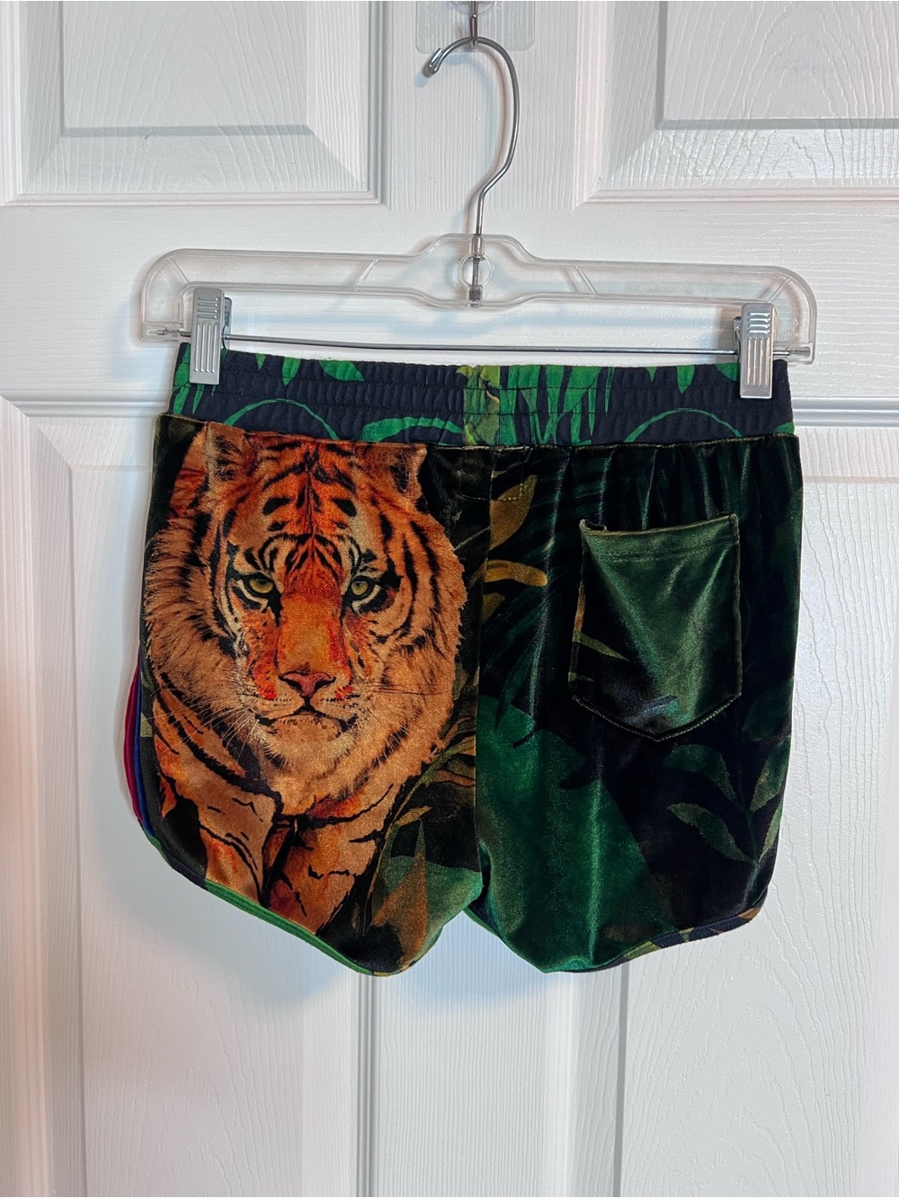 Aviator Nation Tiger Velvet Shorts - Picture 4 of 5